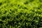 Vibrant and realistic artificial grass texture background for design, decoration, and landscaping