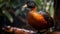 Vibrant Red And Black Duck On Tree Branch - Stunning Photorealistic Detail