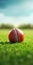 Vibrant Red Cricket Ball On Green Grass Background Stock Photo