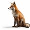 Vibrant Red Fox In Stunning 8k Resolution