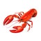 Vibrant Red Lobster Isolated Seafood Culinary Delicacy from the Ocean Depths, Generative Ai