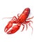 Vibrant Red Lobster Isolated Seafood Culinary Delicacy from the Ocean Depths, Generative Ai