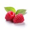 Vibrant Red Raspberries With Leaf On White Background