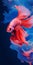 Vibrant Red Siamese Fish In A Stunning 8k Resolution