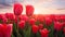 Vibrant Red Tulip Field At Sunset: A Poetic Terragen Of Lush Colors