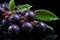 Vibrant ripe acai berries on captivating dark purple background, high quality stock photo