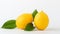 Vibrant Ripe Yellow Lemons in Minimalist Studio Setting Fresh Citrus Fruit Stock Photo.