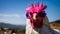 Vibrant Rooster With Pink Sunglasses: A Youthful And Innovative Manapunk Portrait