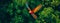 A vibrant scarlet macaw in flight, captured from above against a dense canopy of tropical green foliage.