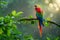 Vibrant Scarlet Macaw Parrot Perched on Branch Amidst Raindrops with Sunlight Filtering Through Foliage