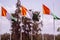 Vibrant scene of a line of Ireland flags waving in the wind