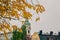 Vibrant scene with a yellow tree in front of a building