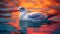 Vibrant Seagull Sunset: A Fauvism-inspired Hyperrealistic Photograph