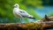 Vibrant Seagull On Wood Branch: High-energy National Geographic Style Photo