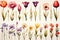 Vibrant set of colorful spring flowers icons on white background