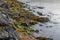 Vibrant Shoreline On Cape Breton In Nova Scotia, Canada