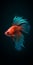 Vibrant Siamese Fighting Fish 3d Rendering With Expressive Character Designs