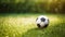 Vibrant Soccer Ball on Green Grass with Copy Space