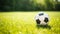 Vibrant Soccer Ball on Green Grass with Copy Space