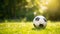 Vibrant Soccer Ball on Green Grass with Copy Space