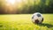 Vibrant Soccer Ball on Green Grass with Copy Space