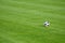 Vibrant soccer ball resting on a lush green grass field