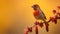 Vibrant Solarized Finch Bird Photography With Bold Color Field