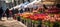 Vibrant spring market tulips, hyacinths, and happy shoppers amidst the colorful abundance of choice