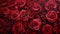 Vibrant Stage Backdrop: Red Rose Painting By Kathleen David