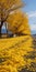 Vibrant Street Scenes: A Colorful Journey Through A Yellow Leaf Road