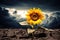 Vibrant sunflower with looming dark clouds depicting perseverance