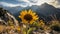 Vibrant sunflower meadow in the mountains, a nature masterpiece generated by AI