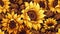 Vibrant Sunflower Pattern Illustration for Background Design