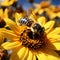 Vibrant sunflower scene Closeup bee collecting nectar