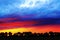 Vibrant sunset colors reflected in cloud layer over forest colorful firmament