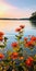 Vibrant Sunset Flowers: A Serene Display Of Nature\\\'s Colors