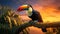 Vibrant Sunset: A Toucan\\\'s Majestic Perch