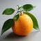 Vibrant Tangerine With Green Leaves - Hyperrealistic Photography