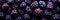 Vibrant and tempting blackberry background banner for healthy food and fresh fruit recipes