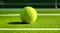 Vibrant Tennis Ball Close-Up on Court Near Net.