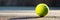 Vibrant tennis ball close up on court, showcasing texture and markings, with ample space for text.