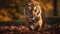 Vibrant Tiger Running Through Forest: High-energy Imagery In 8k Resolution