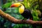 A vibrant toucan with a colorful beak rests on a branch in the lush forest, Tropical birds sitting on a tree branch in the