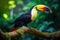 A vibrant toucan gracefully sits on a branch amid the lush backdrop of a vibrant forest, Tropical birds sitting on a tree branch