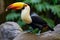 Vibrant Toucan Perched in Lush Tropical Jungle with Vast Copy Space for Design Composition