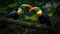 Vibrant toucans perch on multi colored branches in tropical rainforests generated by AI