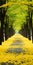 Vibrant Tree Road Lined With Yellow Petals: A Dain Yoon Inspired Masterpiece