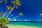 Vibrant tropical beach with palm trees, Upolu, Samoa