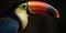 Vibrant Tropics Colorful Toucan Artwork Print