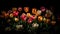 Vibrant tulip blossom in nature multi colored bouquet generated by AI